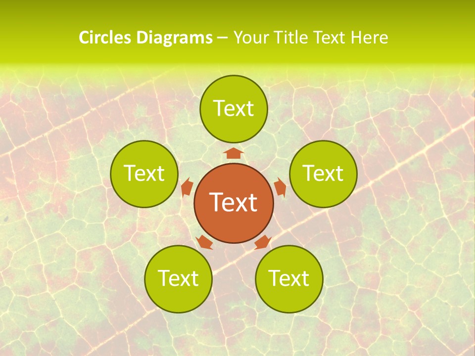 A Leaf With Red And Green Leaves On It PowerPoint Template