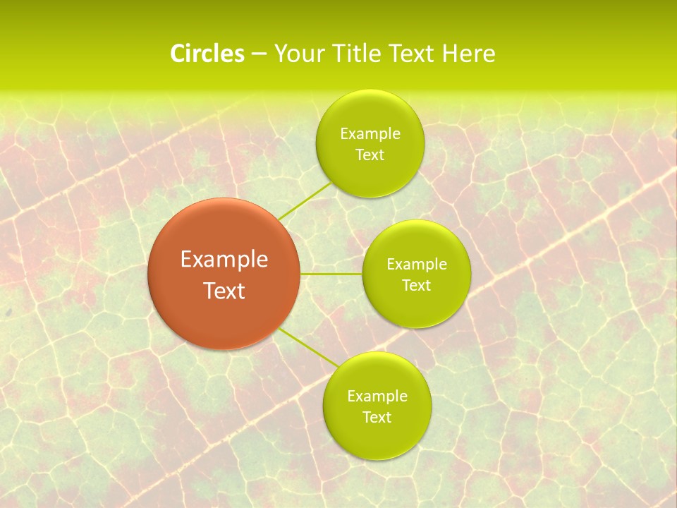 A Leaf With Red And Green Leaves On It PowerPoint Template