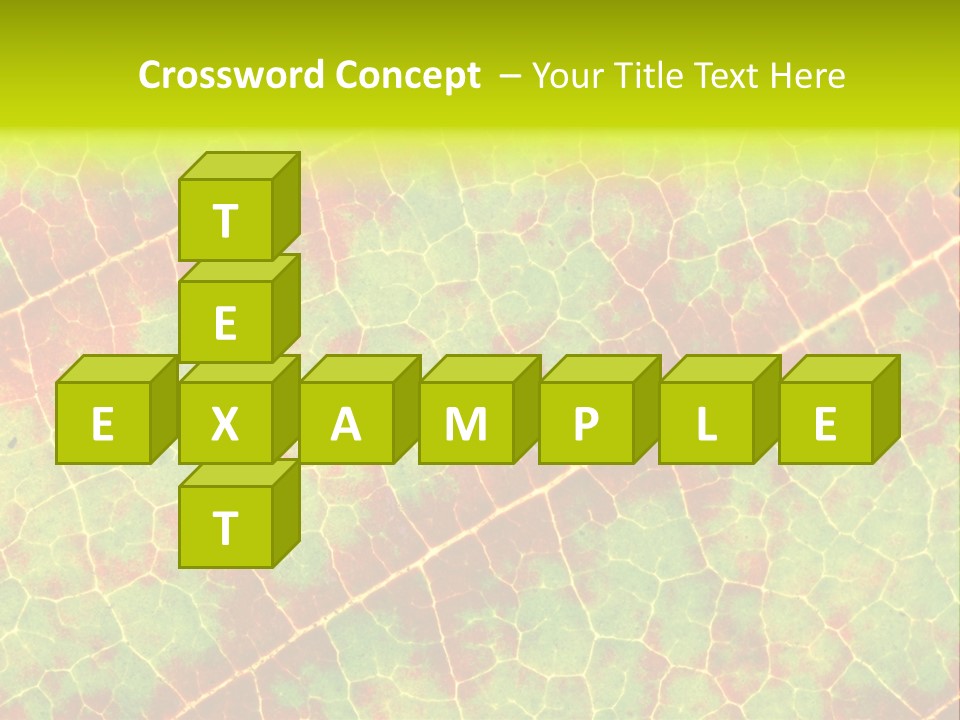 A Leaf With Red And Green Leaves On It PowerPoint Template