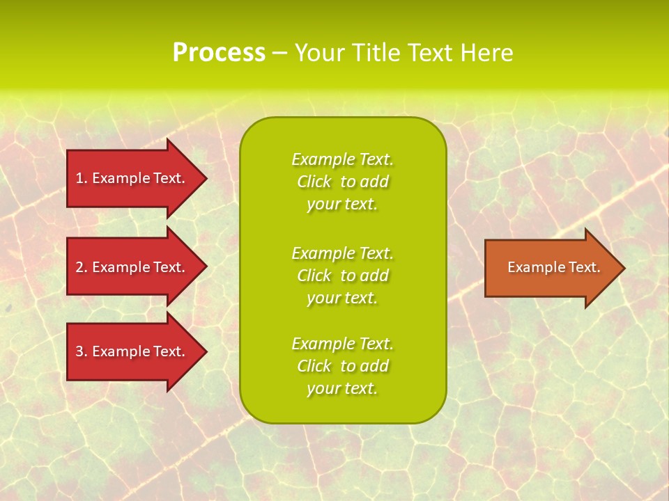 A Leaf With Red And Green Leaves On It PowerPoint Template
