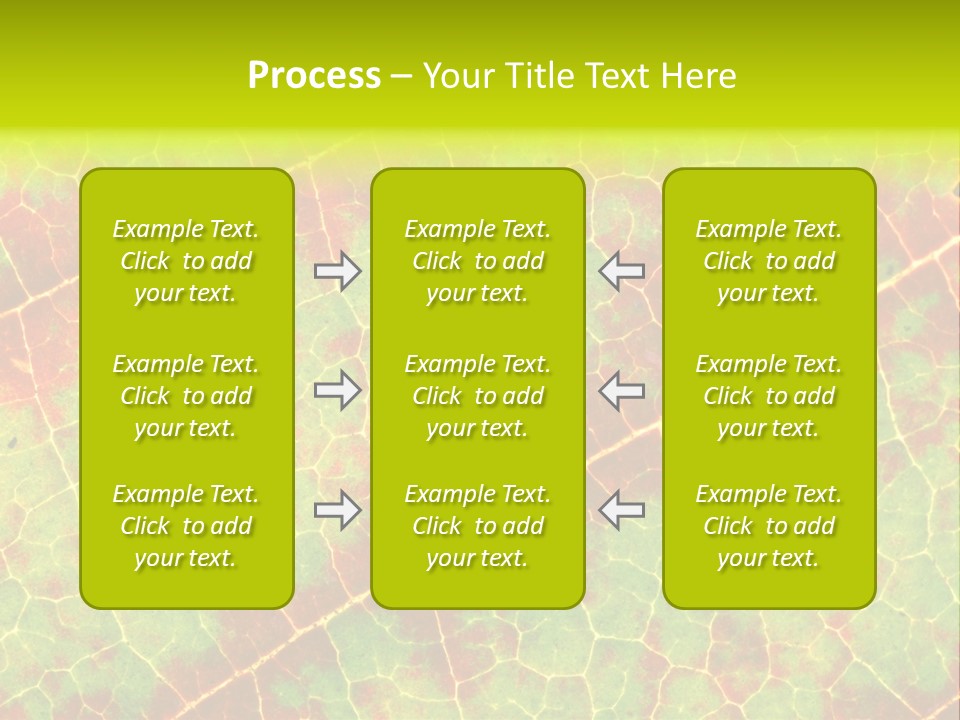 A Leaf With Red And Green Leaves On It PowerPoint Template