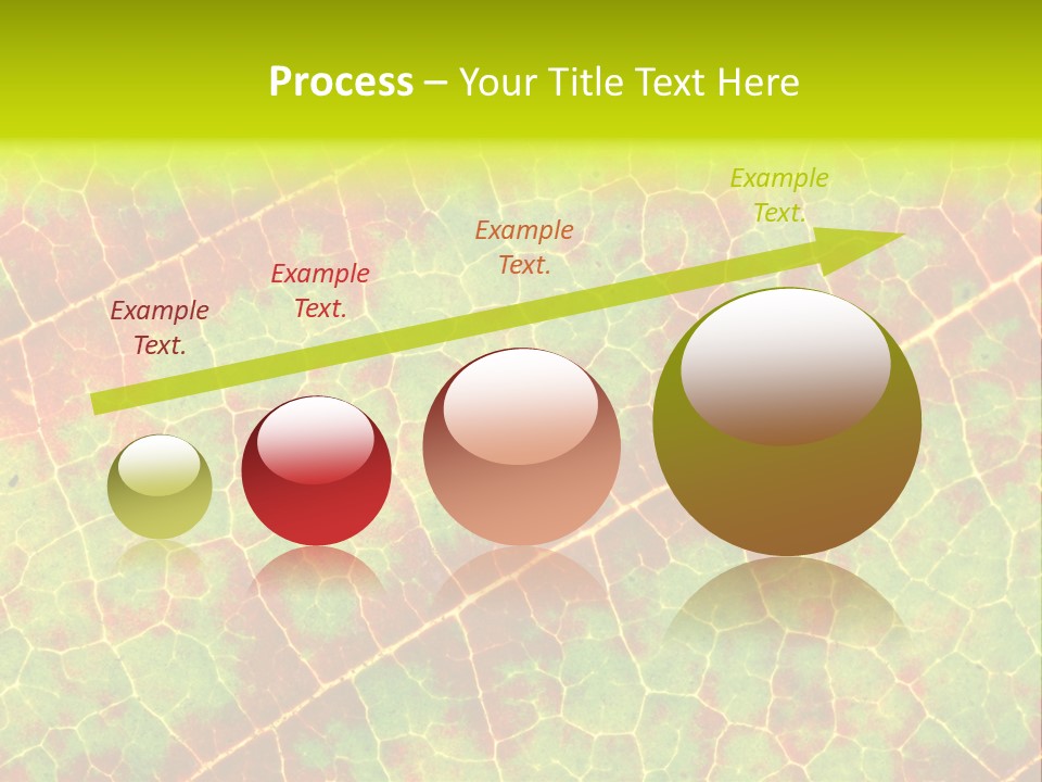 A Leaf With Red And Green Leaves On It PowerPoint Template