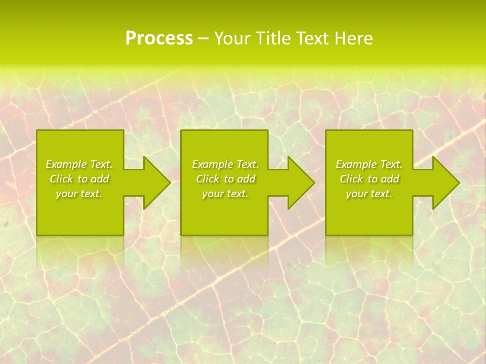 A Leaf With Red And Green Leaves On It PowerPoint Template