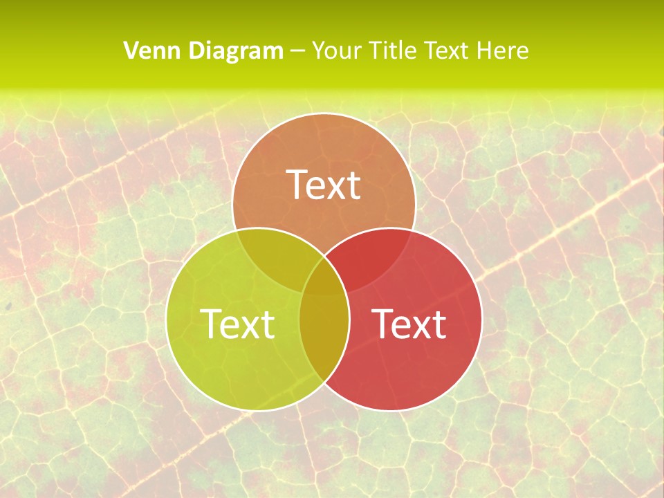 A Leaf With Red And Green Leaves On It PowerPoint Template