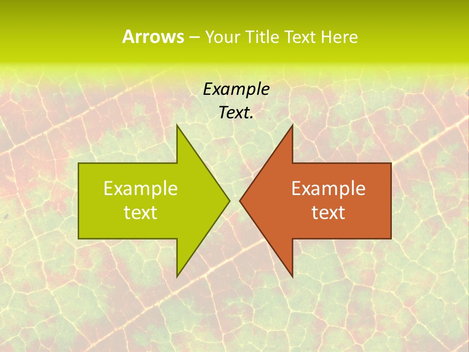 A Leaf With Red And Green Leaves On It PowerPoint Template
