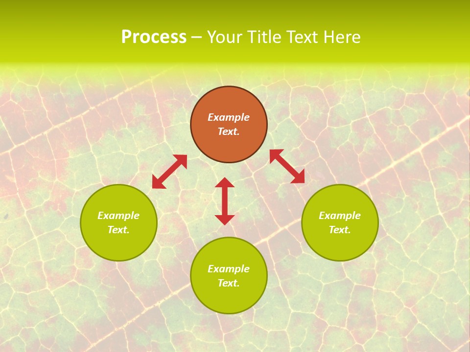 A Leaf With Red And Green Leaves On It PowerPoint Template