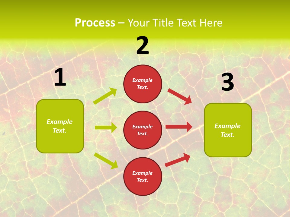 A Leaf With Red And Green Leaves On It PowerPoint Template