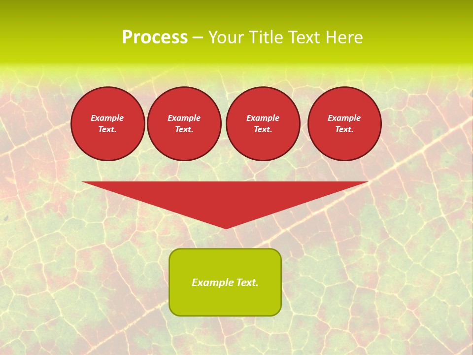 A Leaf With Red And Green Leaves On It PowerPoint Template