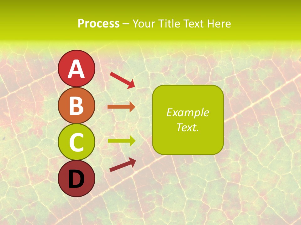 A Leaf With Red And Green Leaves On It PowerPoint Template