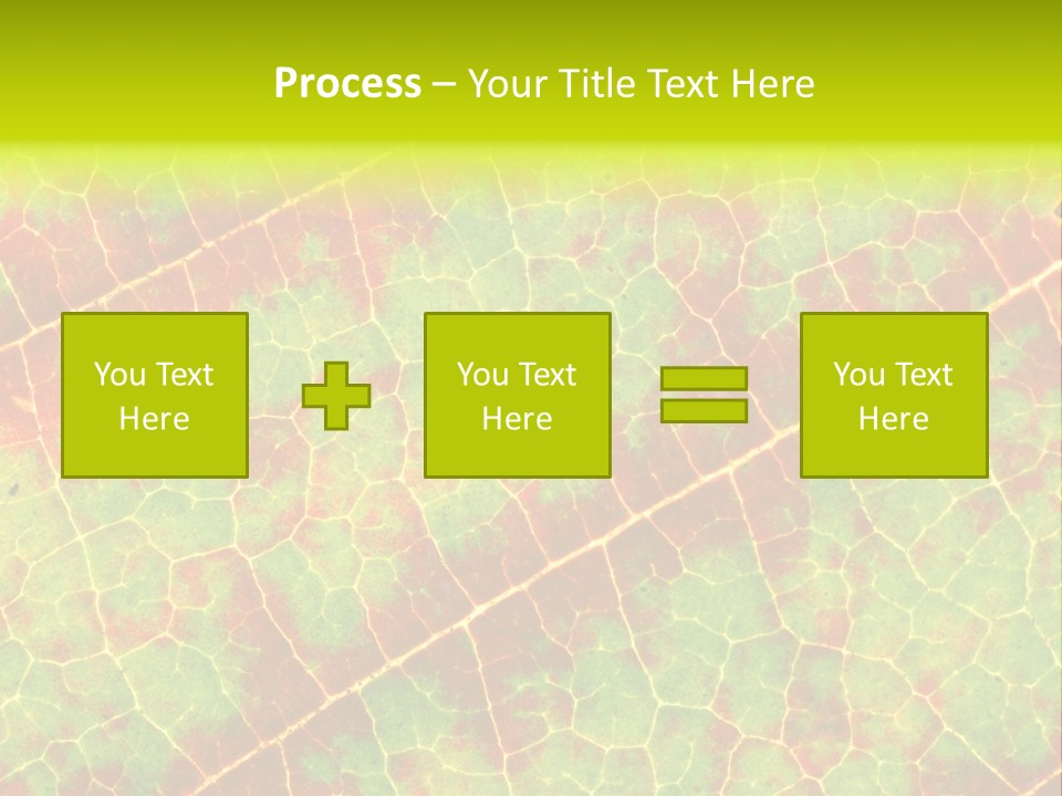 A Leaf With Red And Green Leaves On It PowerPoint Template