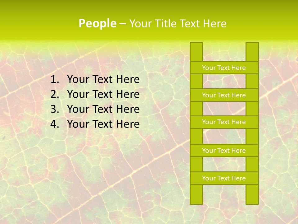 A Leaf With Red And Green Leaves On It PowerPoint Template