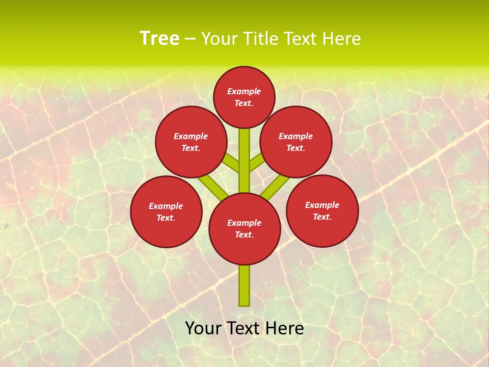 A Leaf With Red And Green Leaves On It PowerPoint Template