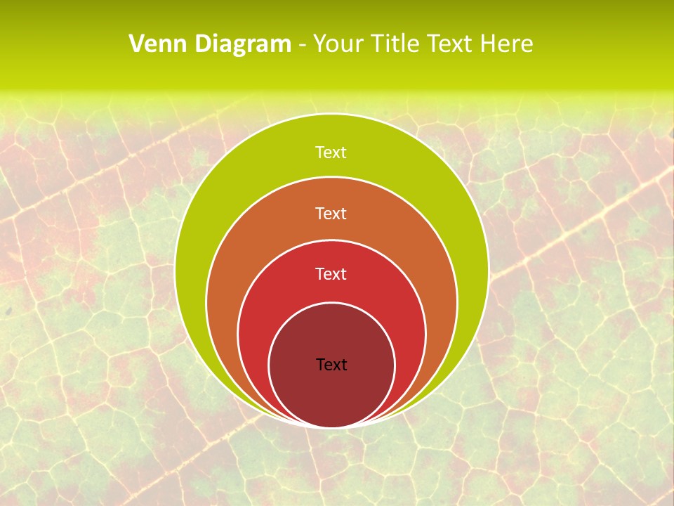A Leaf With Red And Green Leaves On It PowerPoint Template