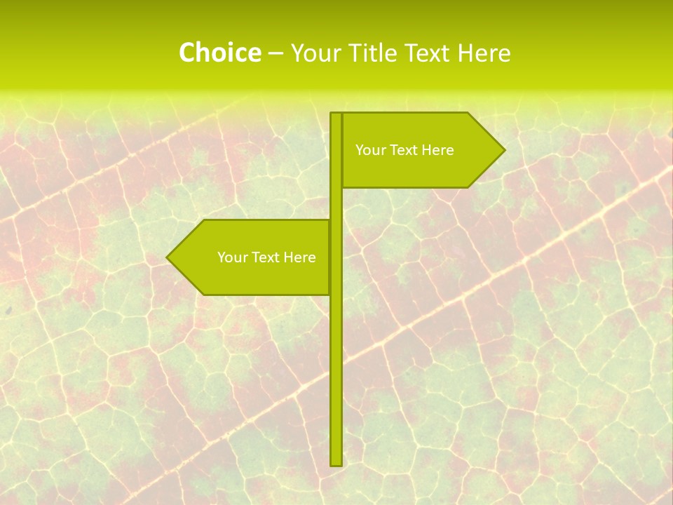 A Leaf With Red And Green Leaves On It PowerPoint Template