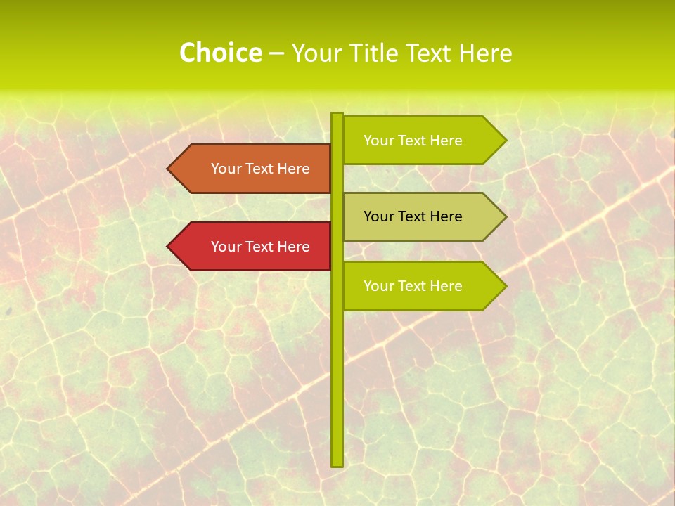 A Leaf With Red And Green Leaves On It PowerPoint Template