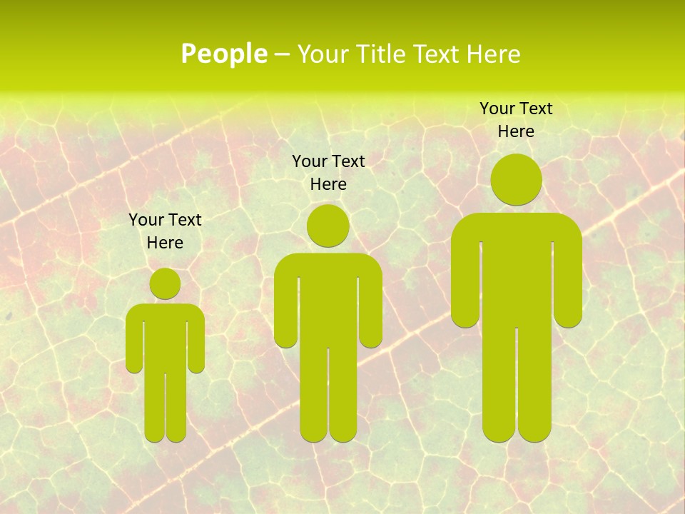 A Leaf With Red And Green Leaves On It PowerPoint Template