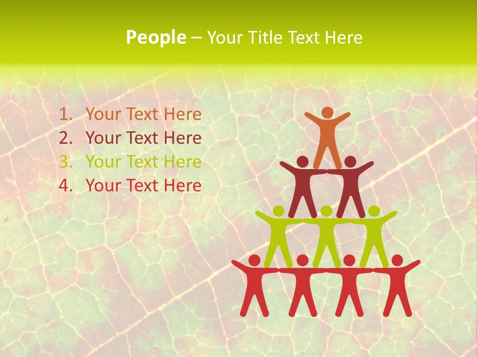 A Leaf With Red And Green Leaves On It PowerPoint Template