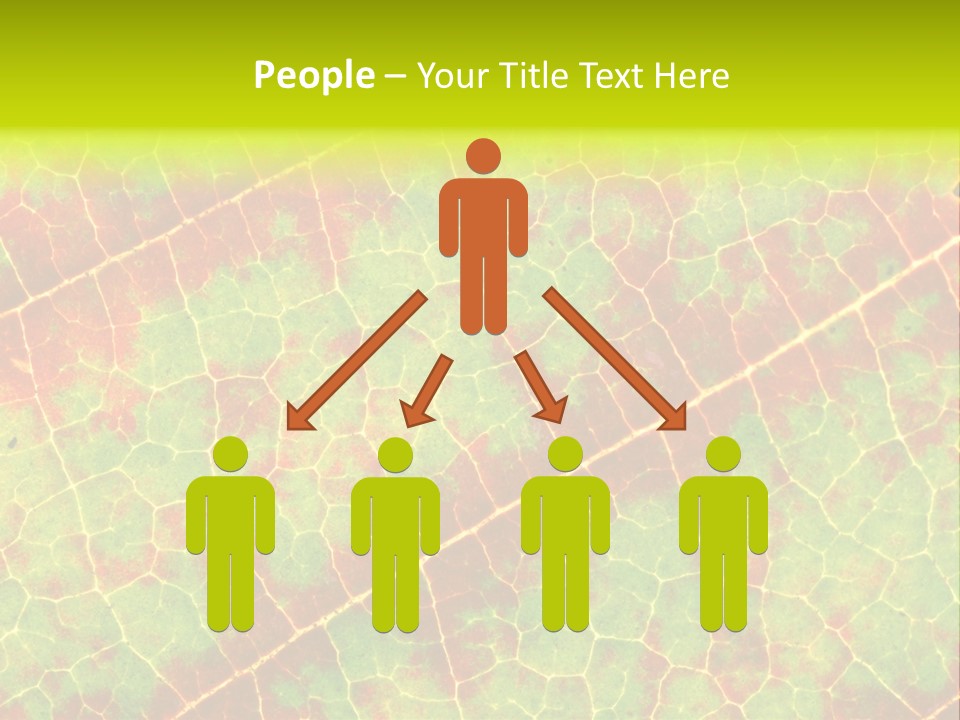 A Leaf With Red And Green Leaves On It PowerPoint Template