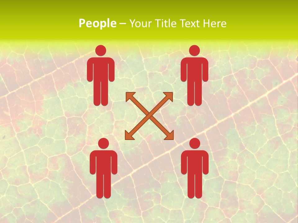 A Leaf With Red And Green Leaves On It PowerPoint Template