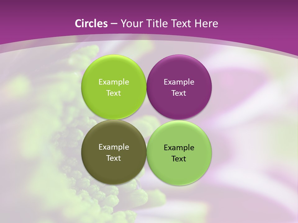 Beauty Summer Detail PowerPoint Template