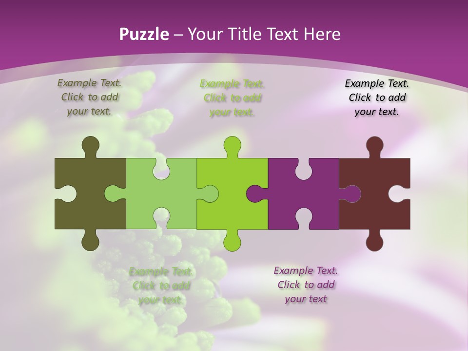 Beauty Summer Detail PowerPoint Template