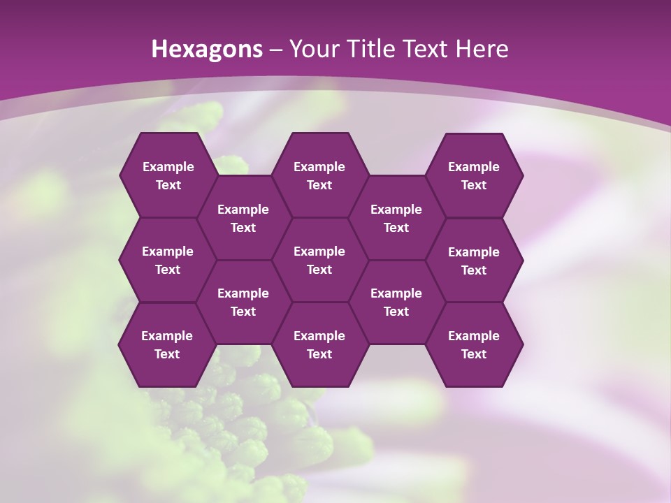 Beauty Summer Detail PowerPoint Template