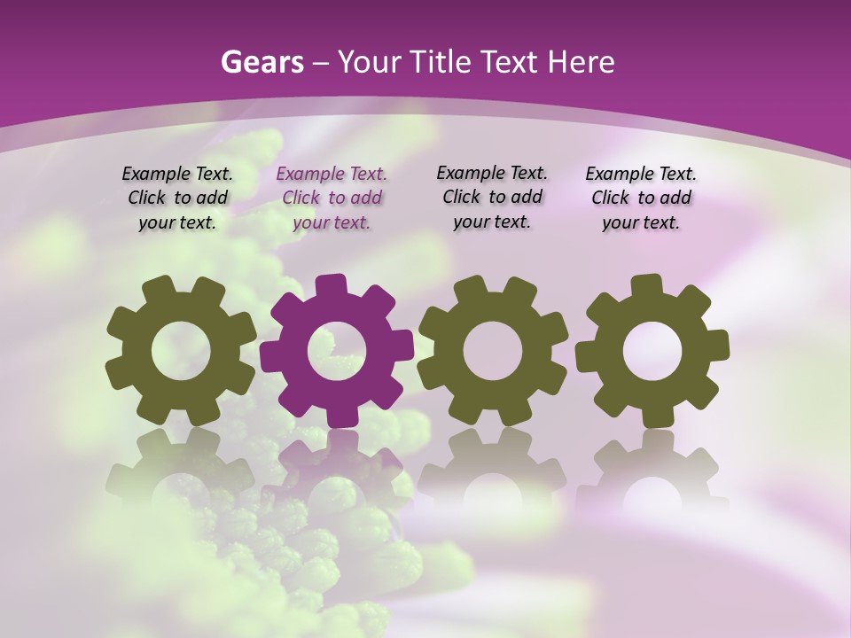 Beauty Summer Detail PowerPoint Template