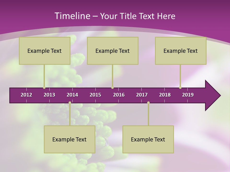 Beauty Summer Detail PowerPoint Template
