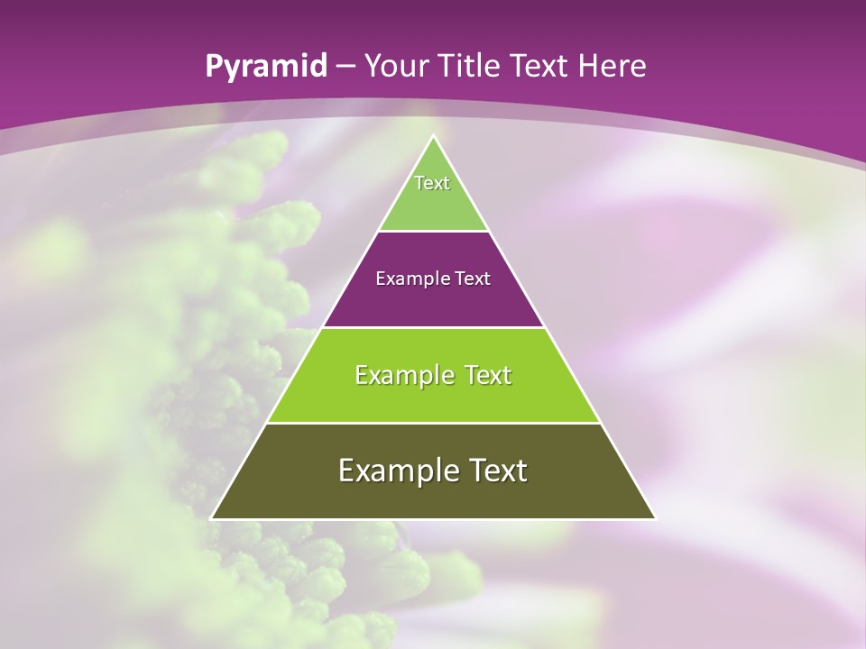 Beauty Summer Detail PowerPoint Template