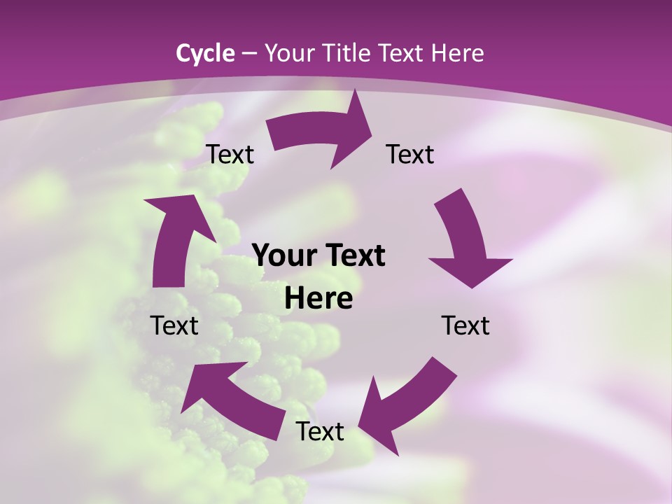 Beauty Summer Detail PowerPoint Template