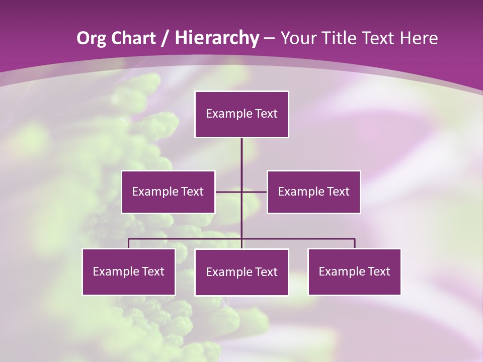 Beauty Summer Detail PowerPoint Template