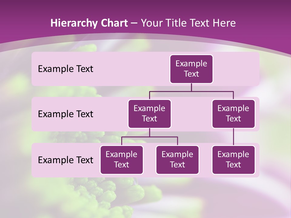 Beauty Summer Detail PowerPoint Template