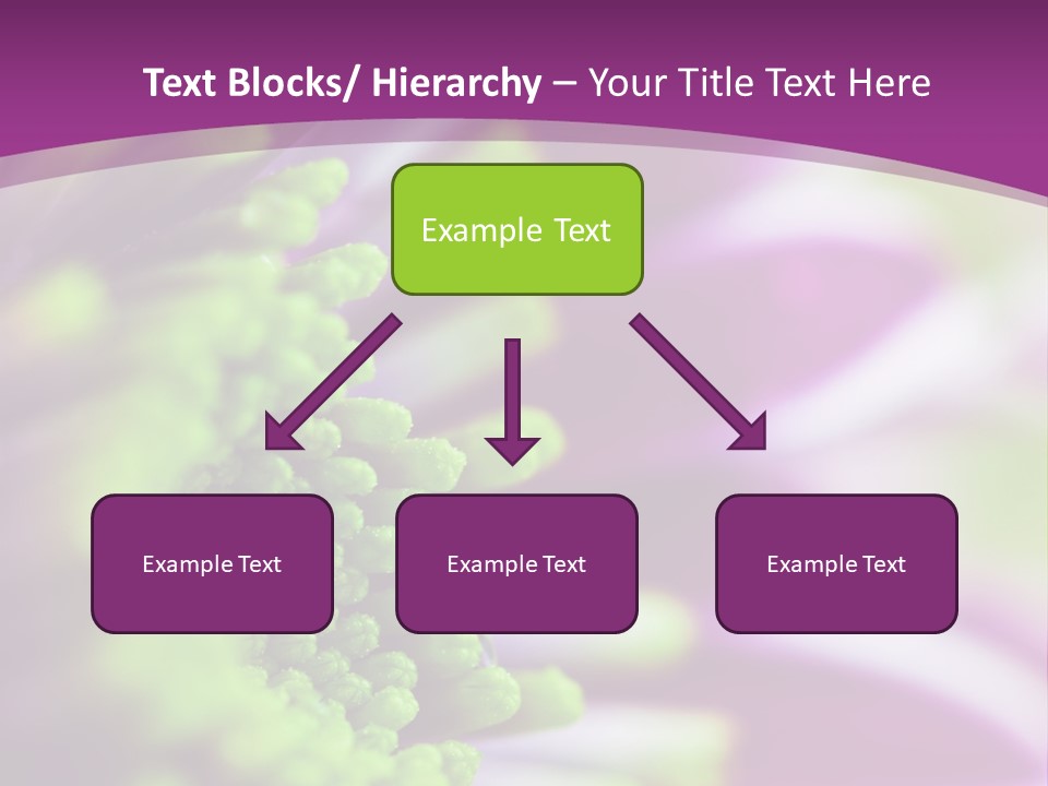 Beauty Summer Detail PowerPoint Template