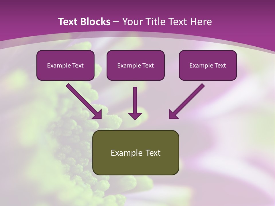 Beauty Summer Detail PowerPoint Template