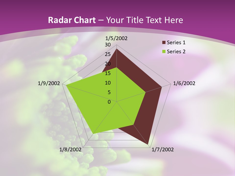 Beauty Summer Detail PowerPoint Template