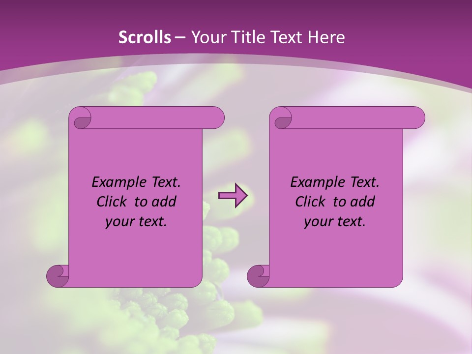 Beauty Summer Detail PowerPoint Template