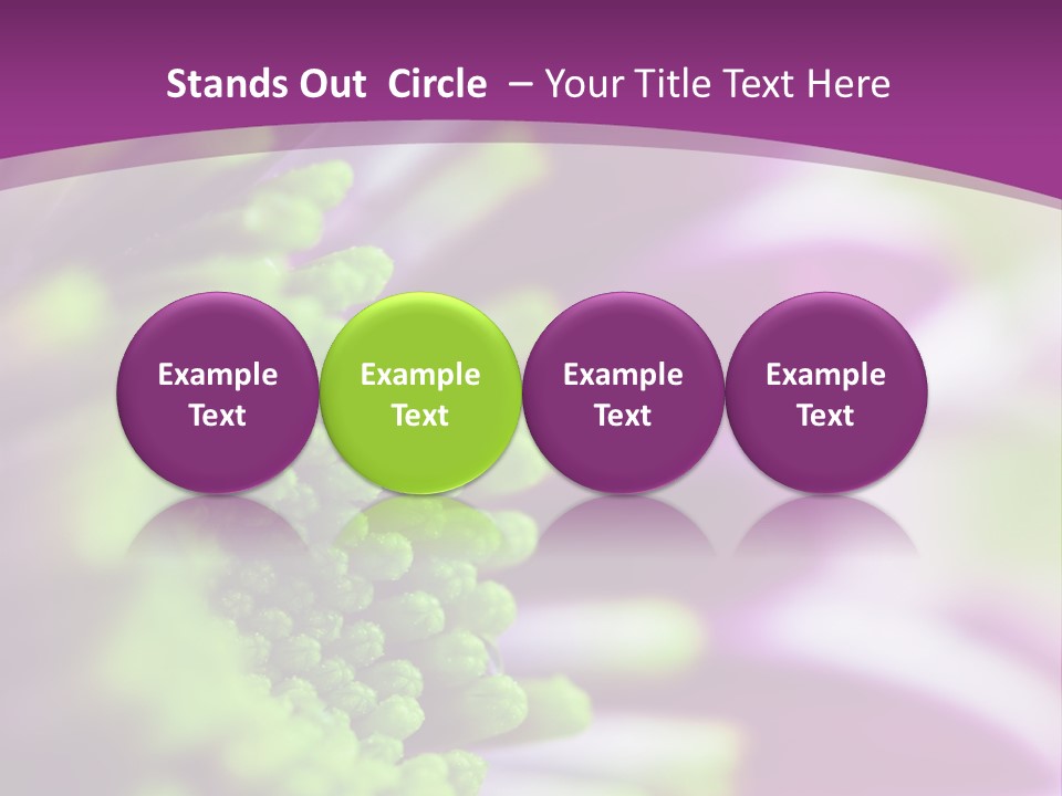 Beauty Summer Detail PowerPoint Template