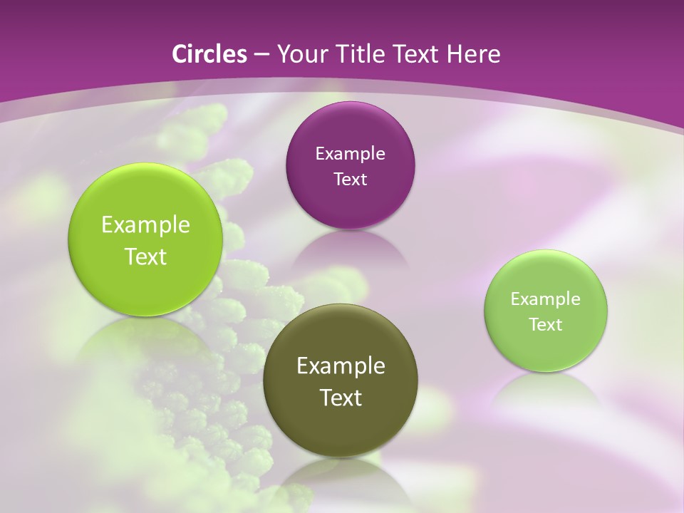 Beauty Summer Detail PowerPoint Template