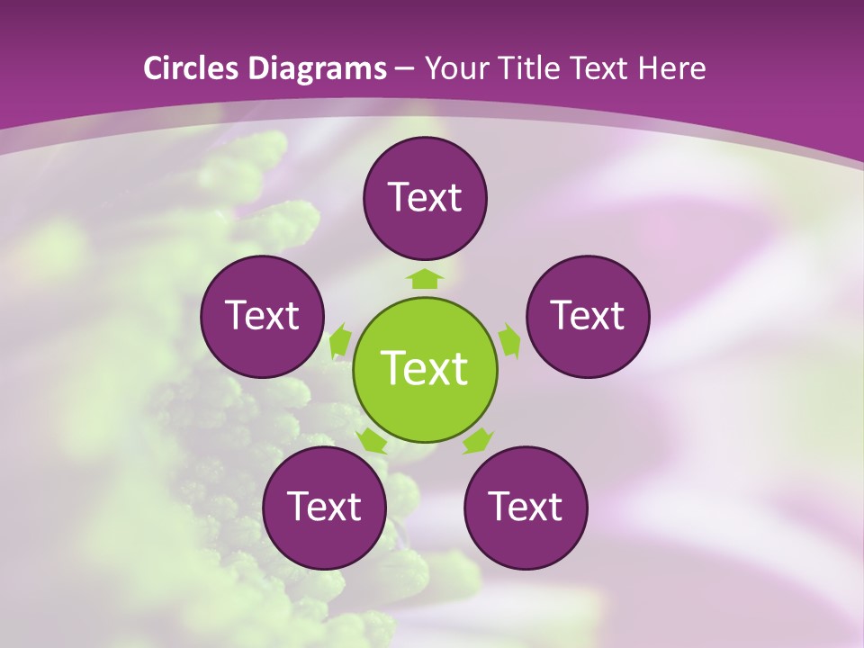 Beauty Summer Detail PowerPoint Template