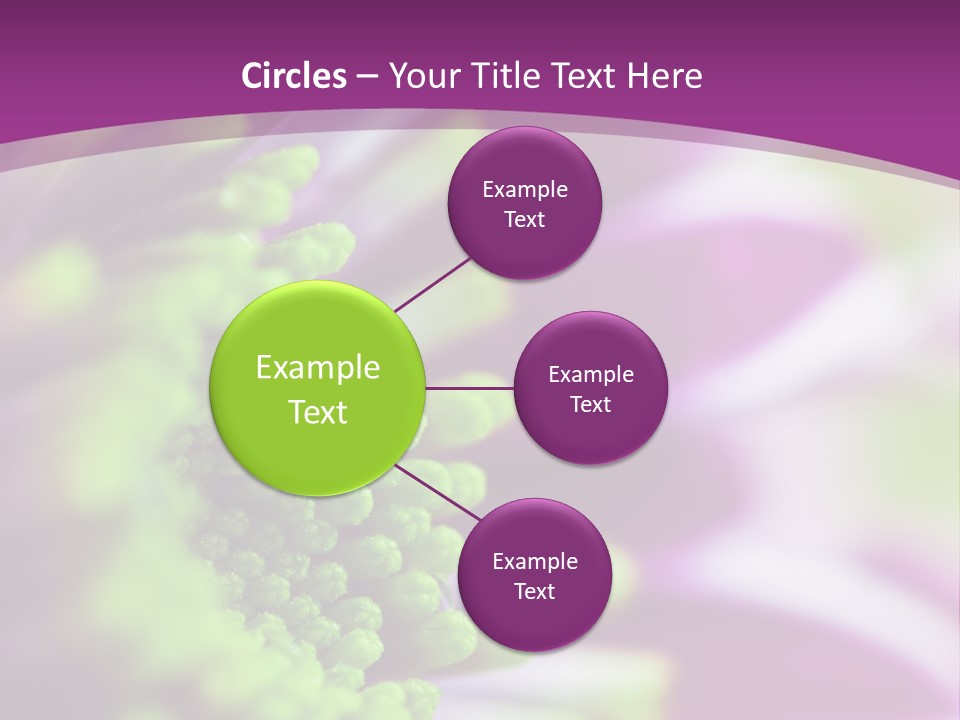 Beauty Summer Detail PowerPoint Template