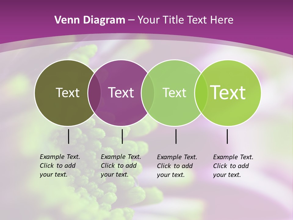 Beauty Summer Detail PowerPoint Template