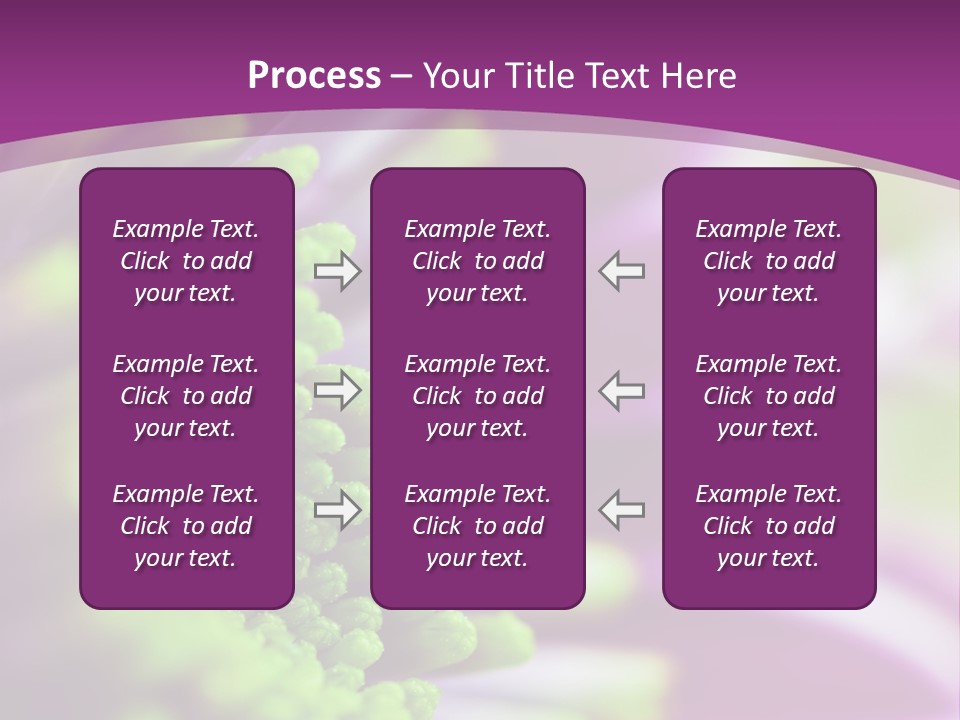 Beauty Summer Detail PowerPoint Template