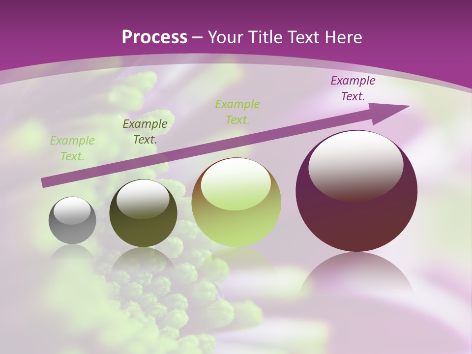 Beauty Summer Detail PowerPoint Template