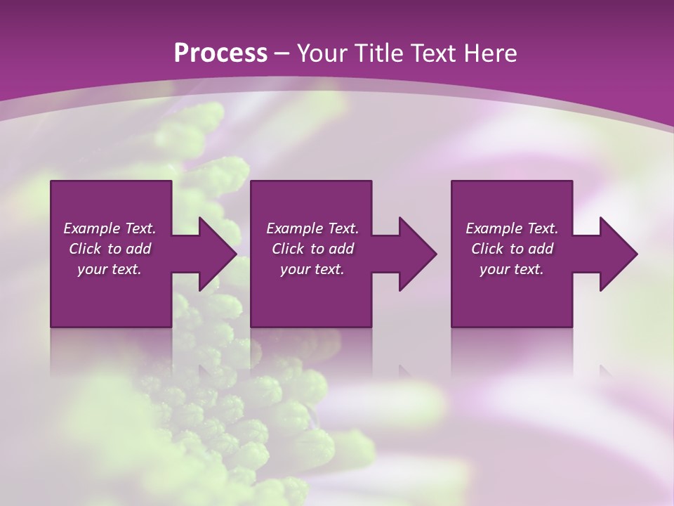 Beauty Summer Detail PowerPoint Template