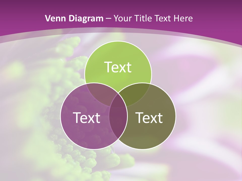 Beauty Summer Detail PowerPoint Template