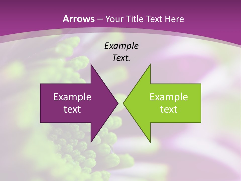 Beauty Summer Detail PowerPoint Template