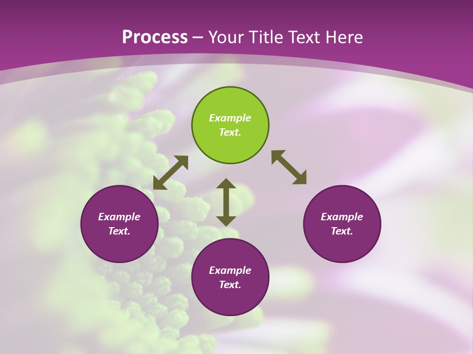 Beauty Summer Detail PowerPoint Template