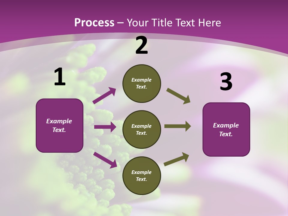 Beauty Summer Detail PowerPoint Template