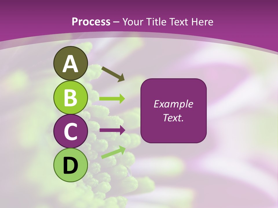 Beauty Summer Detail PowerPoint Template