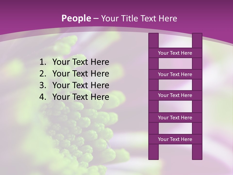 Beauty Summer Detail PowerPoint Template